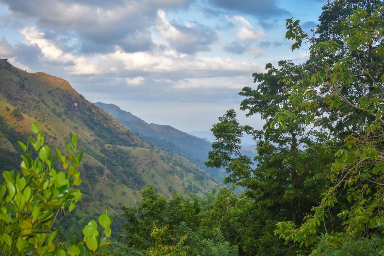 Nature Green Hotels On Rock Home Ella Ngoại thất bức ảnh