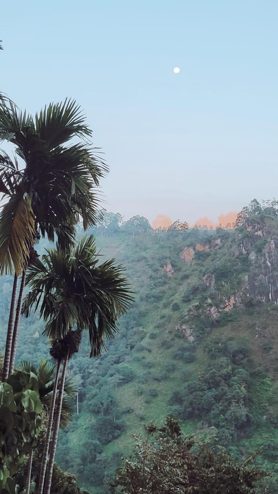 Nature Green Hotels On Rock Home Ella Ngoại thất bức ảnh