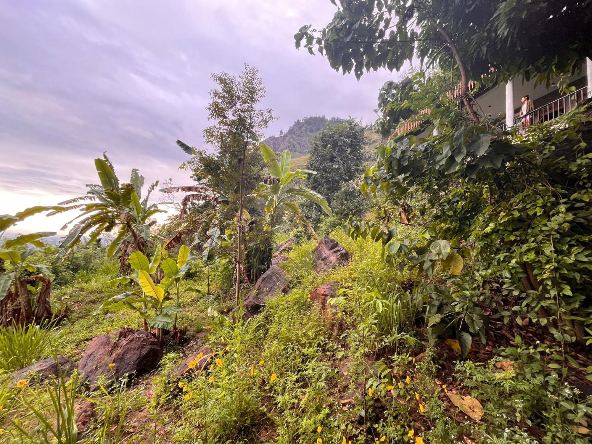 Nature Green Hotels On Rock Home Ella Ngoại thất bức ảnh