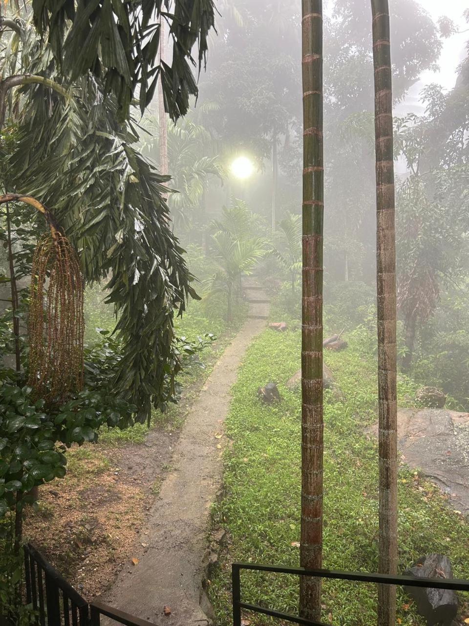 Nature Green Hotels On Rock Home Ella Ngoại thất bức ảnh