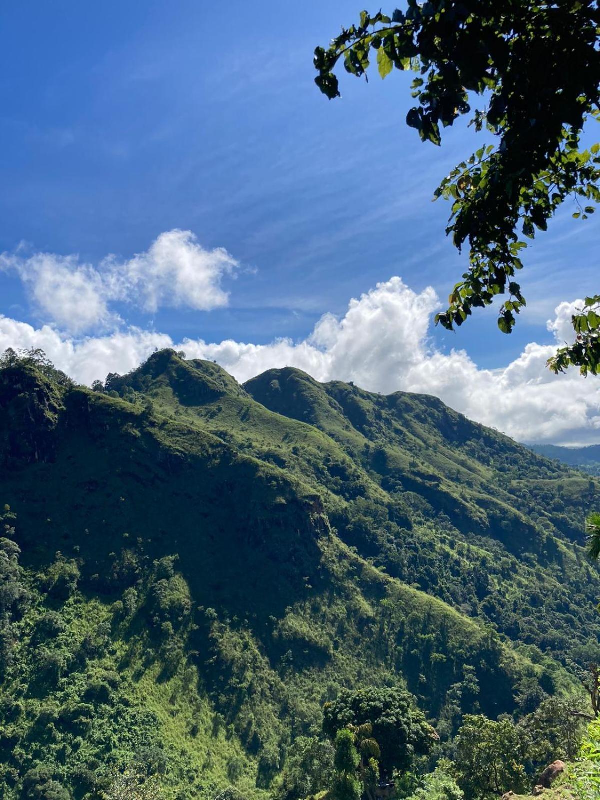 Nature Green Hotels On Rock Home Ella Ngoại thất bức ảnh