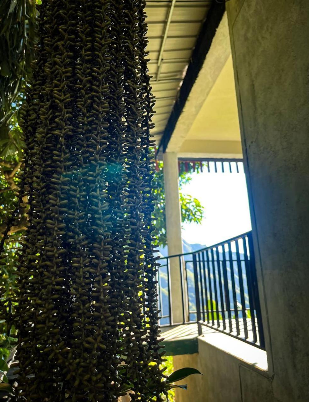 Nature Green Hotels On Rock Home Ella Ngoại thất bức ảnh