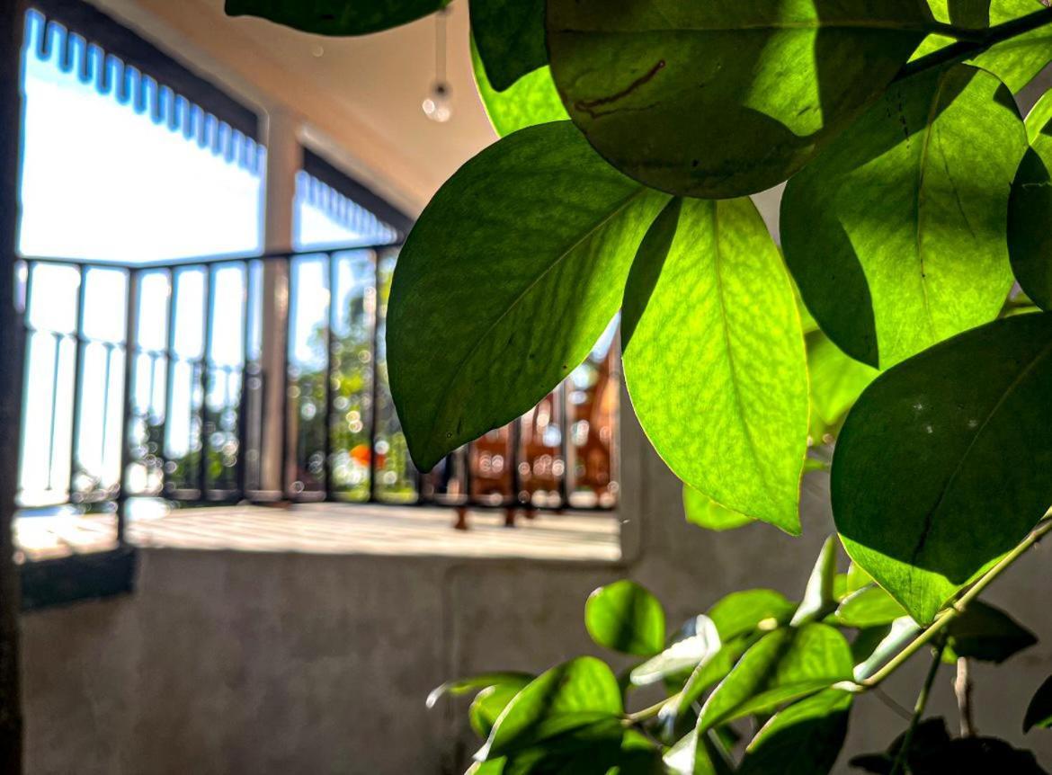 Nature Green Hotels On Rock Home Ella Ngoại thất bức ảnh