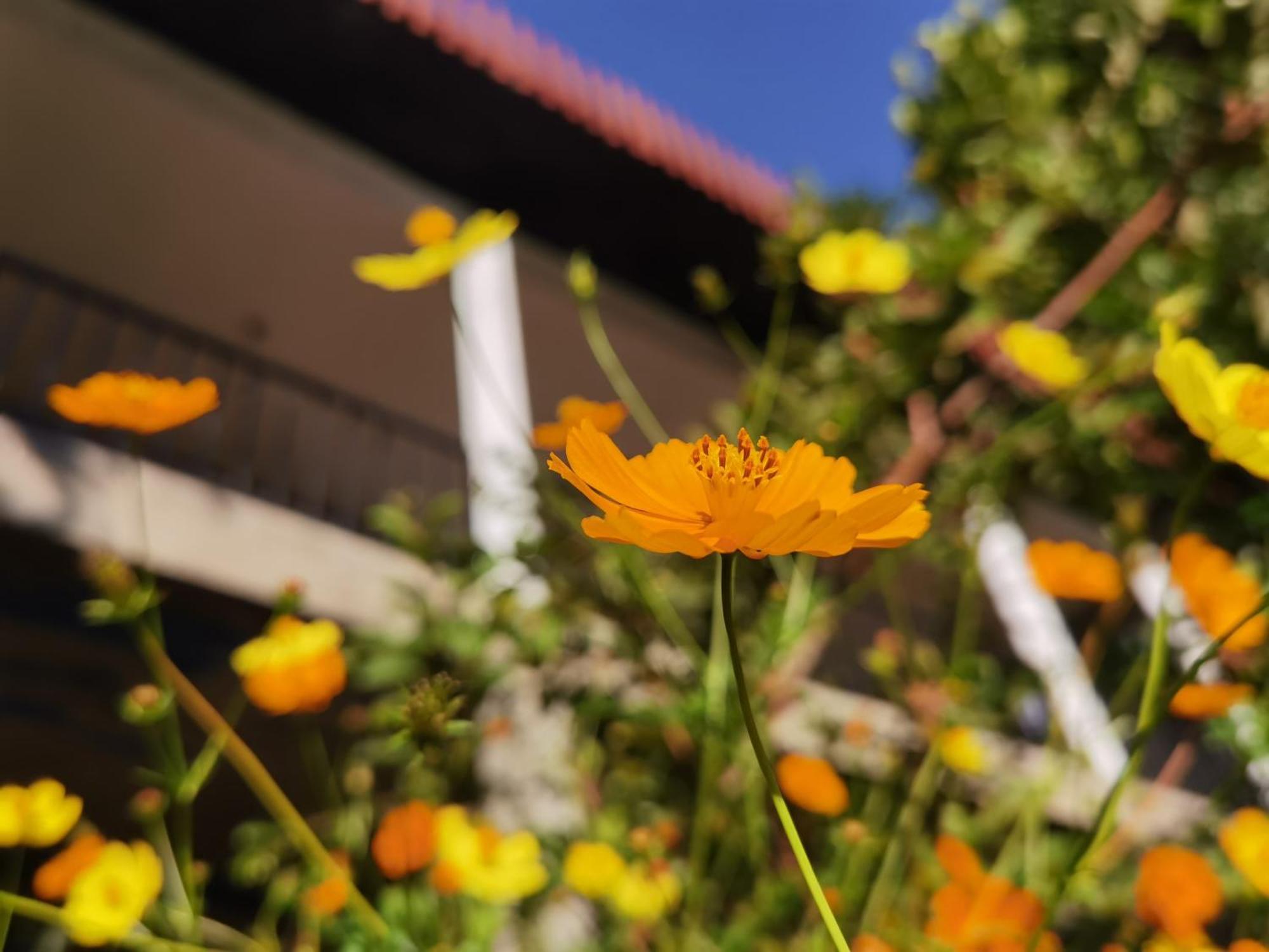 Nature Green Hotels On Rock Home Ella Ngoại thất bức ảnh