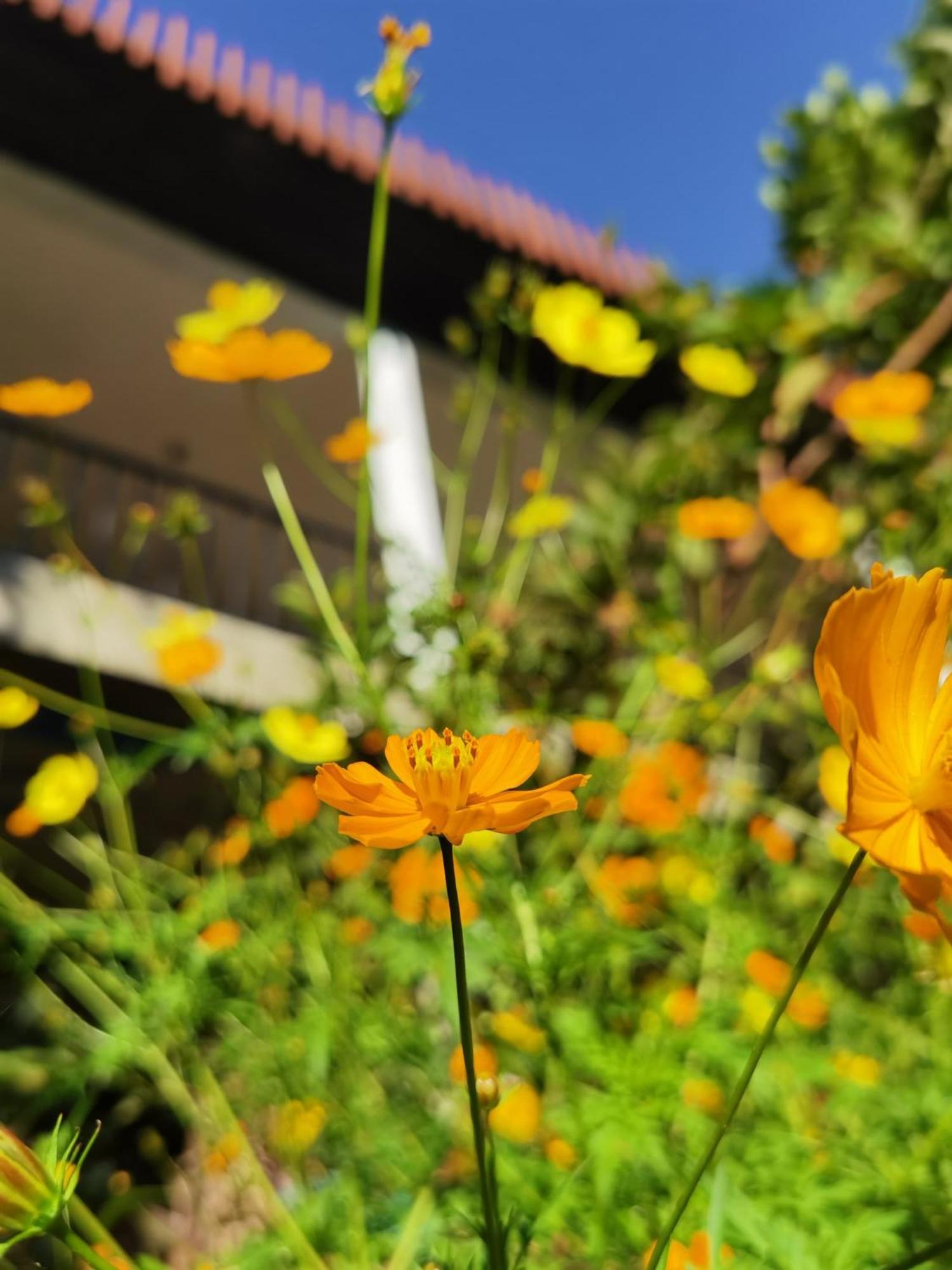 Nature Green Hotels On Rock Home Ella Ngoại thất bức ảnh
