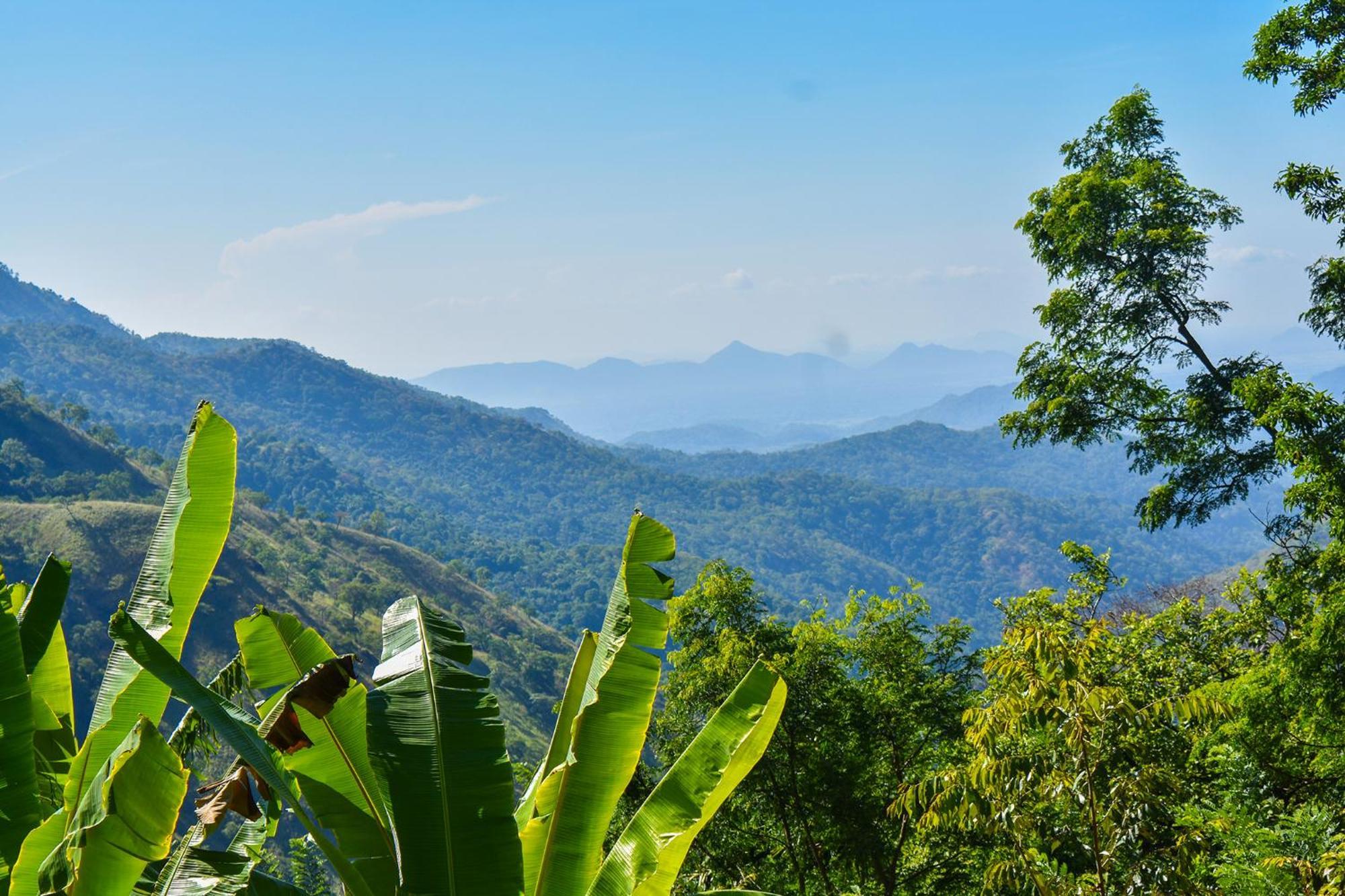 Nature Green Hotels On Rock Home Ella Ngoại thất bức ảnh
