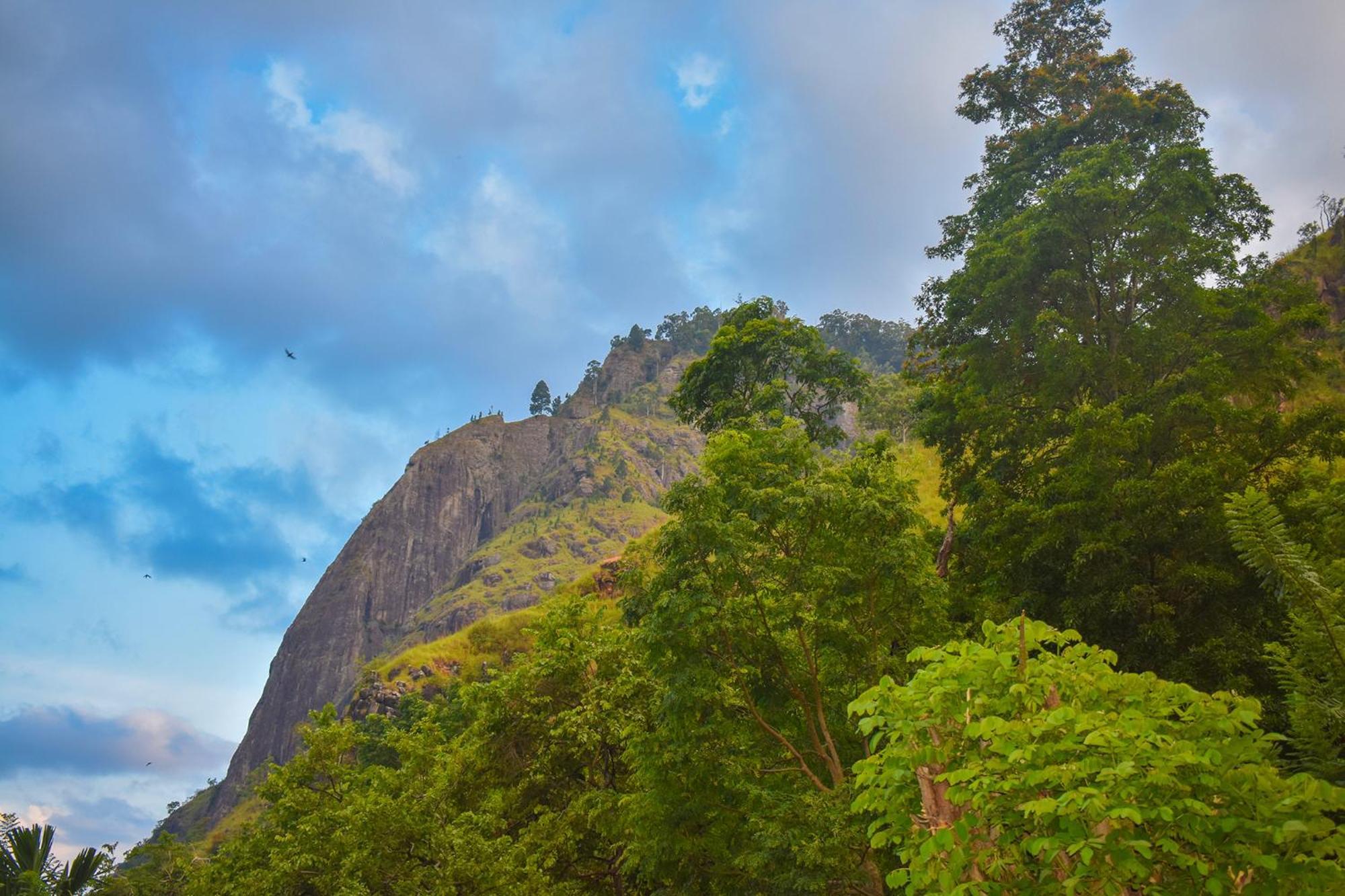 Nature Green Hotels On Rock Home Ella Ngoại thất bức ảnh